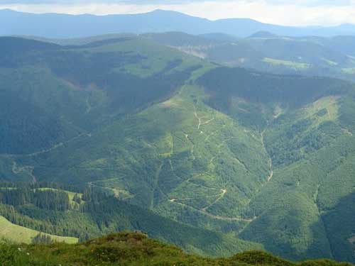 Foto: Parcul Natural Muntii Maramuresului